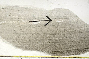 Plane Polarized, S89473