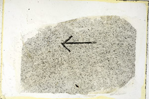 Plane Polarized, S89474