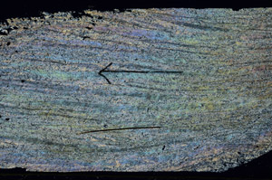 Cross Polarized, S89475