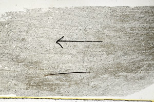 Plane Polarized, S89475