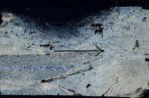 Cross Polarized, S89477
