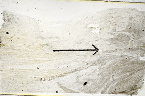 Plane Polarized, S89477