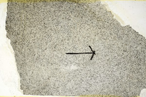 Plane Polarized, S89478