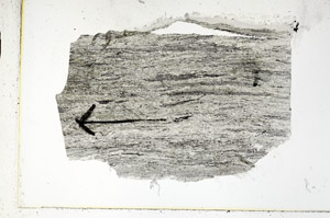 Plane Polarized, S89479