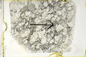 Plane Polarized, S89482