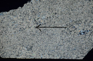 Cross Polarized, S89483
