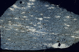 Cross Polarized, S89485