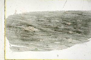 Plane Polarized, S89486