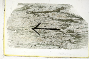 Plane Polarized, S89487