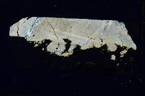 Cross Polarized, S89490