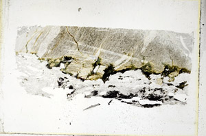 Plane Polarized, S89490
