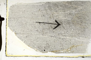 Plane Polarized, S89491