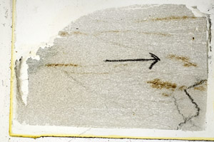 Plane Polarized, S89492