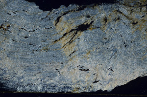 Cross Polarized, S89493