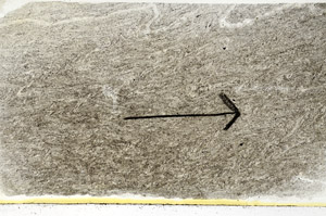 Plane Polarized, S89494
