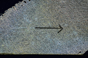 Cross Polarized, S89495