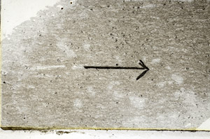 Plane Polarized, S89495