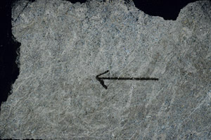 Cross Polarized, S89496