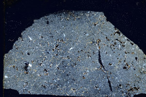 Cross Polarized, S89498