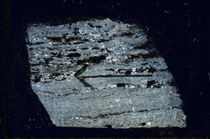 Cross Polarized, S89499