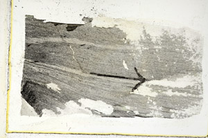 Plane Polarized, S89503