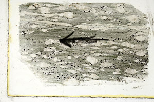 Plane Polarized, S89507