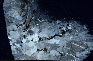 Cross Polarized, S89513