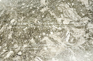 Plane Polarized, S89515