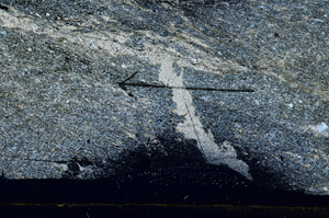 Cross Polarized, S89517