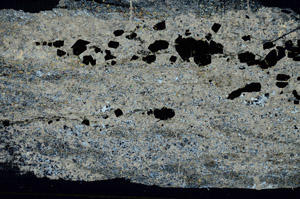 Cross Polarized, S89520