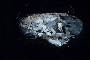 Cross Polarized, S89521