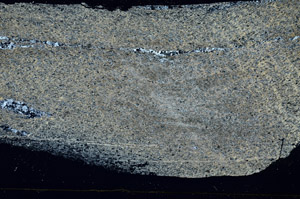 Cross Polarized, S89523