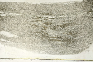 Plane Polarized, S89523
