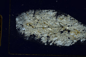Cross Polarized, S89524