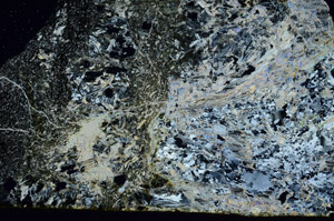 Cross Polarized, S89532