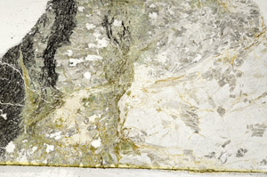 Plane Polarized, S89532