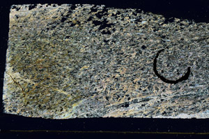 Cross Polarized, S89533