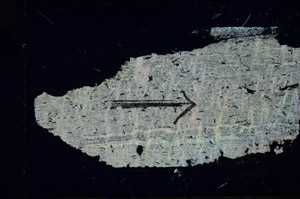 Cross Polarized, S89534