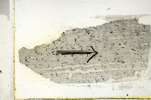 Plane Polarized, S89534