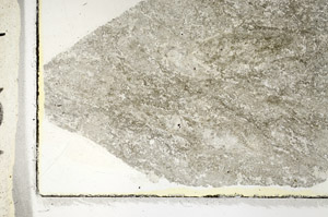Plane Polarized, S89543