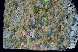 Cross Polarized, S89549