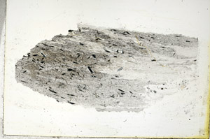 Plane Polarized, S89553