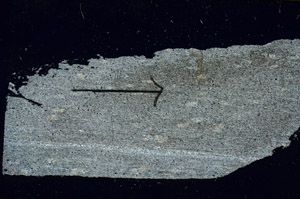 Cross Polarized, S89554