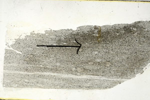 Plane Polarized, S89554