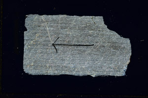 Cross Polarized, S89555