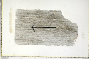 Plane Polarized, S89555