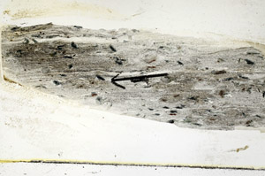 Plane Polarized, S89556