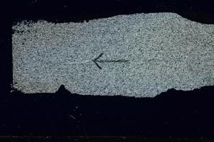 Cross Polarized, S89557