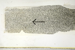 Plane Polarized, S89557