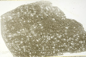 Plane Polarized, S89559